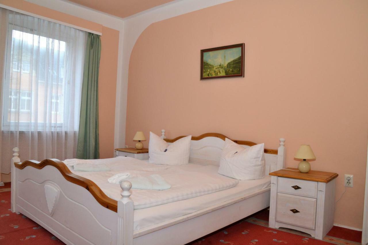 Hotel Central Bad Elster Kültér fotó